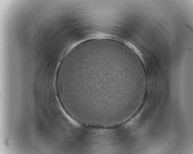 X0000095921429200801181408