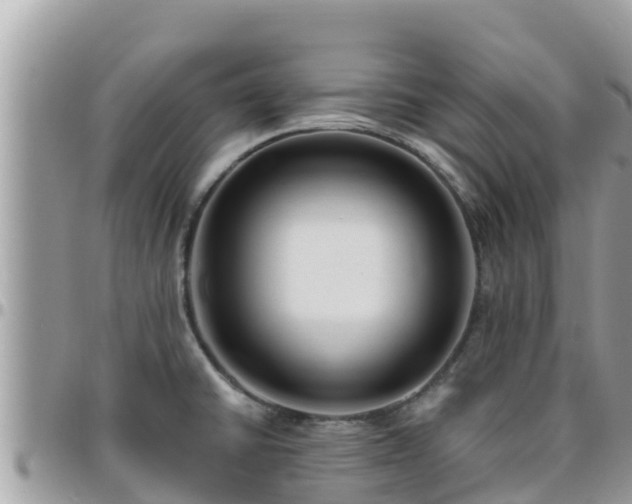 X0000095921430200801181408