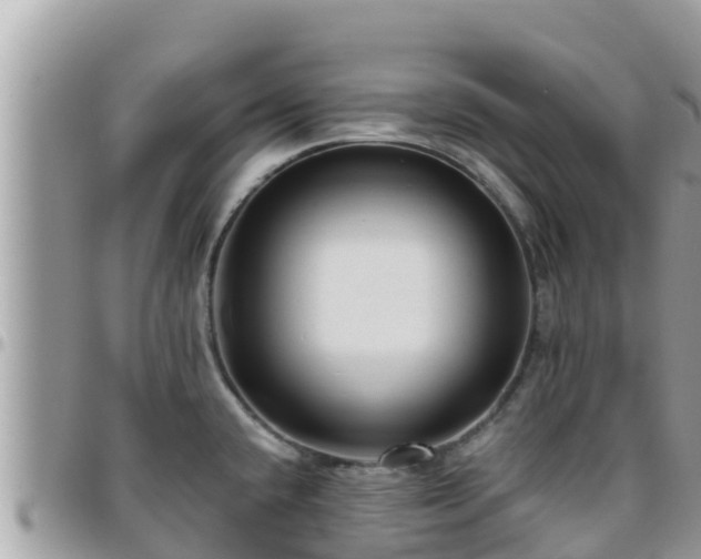 X0000095921432200801181408