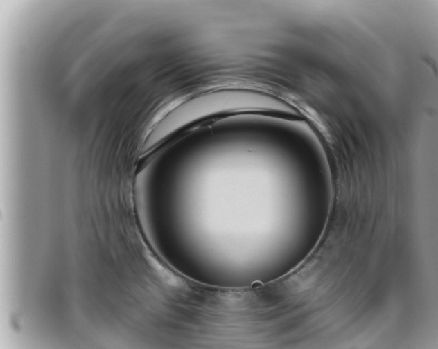 X0000095921433200801181408