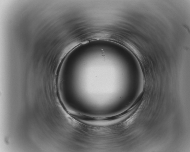 X0000095921434200801181408