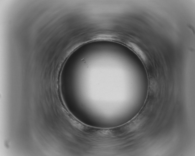 X0000095921435200801181408