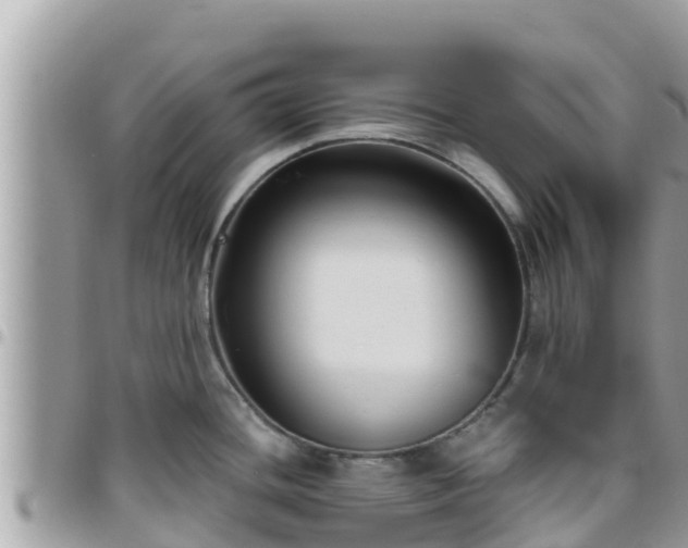 X0000095921436200801181408