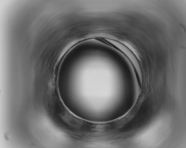 X0000095921438200801181408