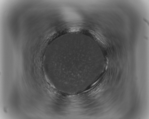 X0000095921441200801181407