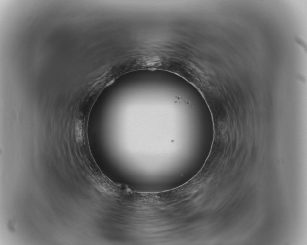 X0000095921442200801181407