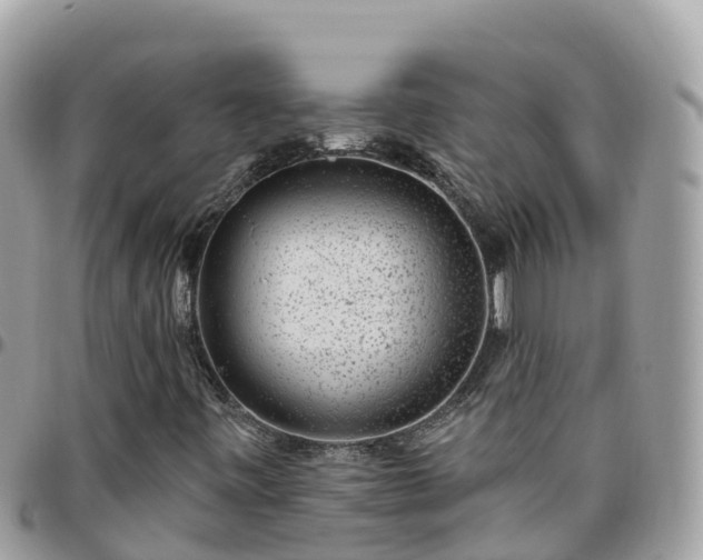 X0000095921443200801181407