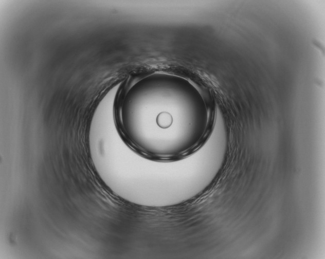 X0000095921444200801181407