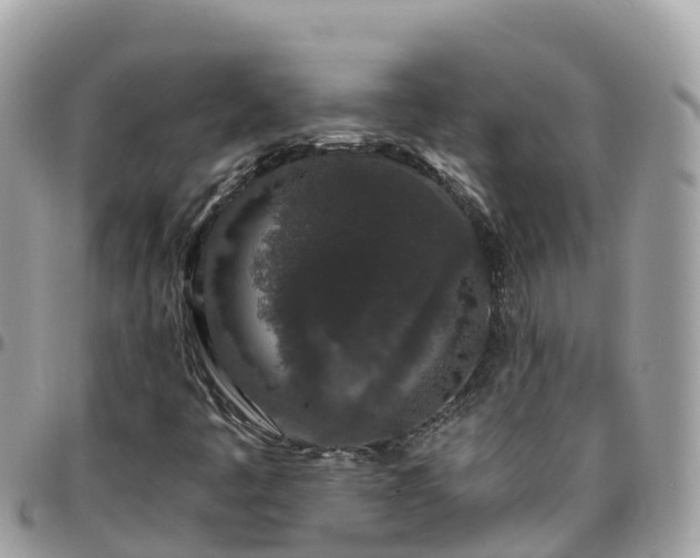 X0000095921445200801181407