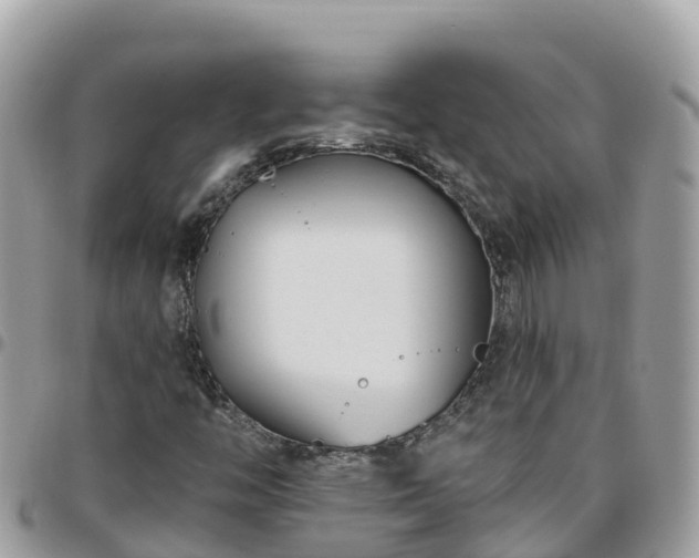 X0000095921446200801181407