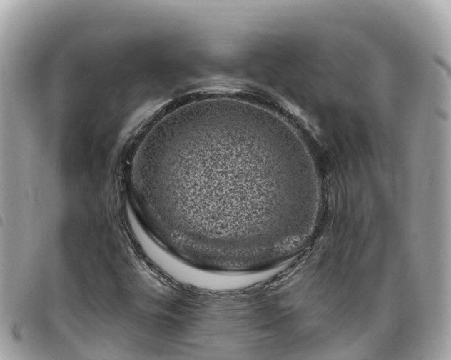 X0000095921448200801181407