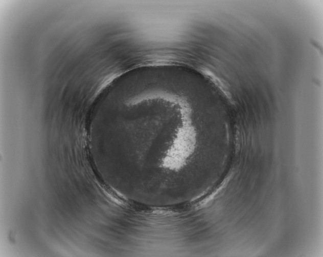 X0000095921449200801181407