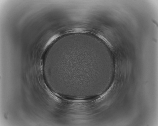 X0000095921450200801181407