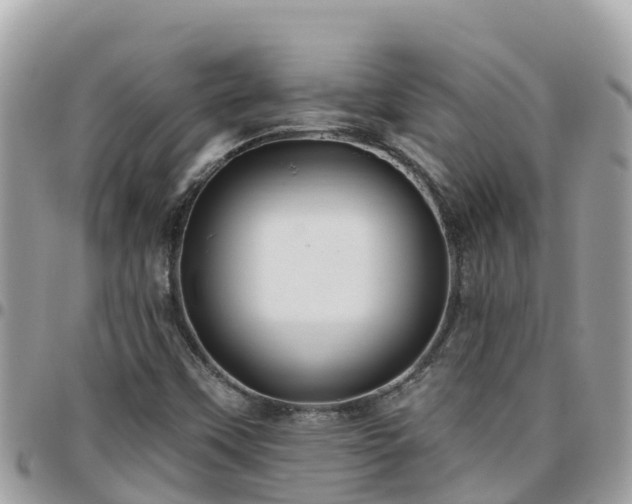 X0000095921451200801181407