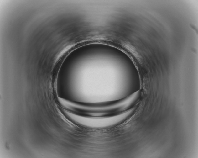 X0000095921452200801181407