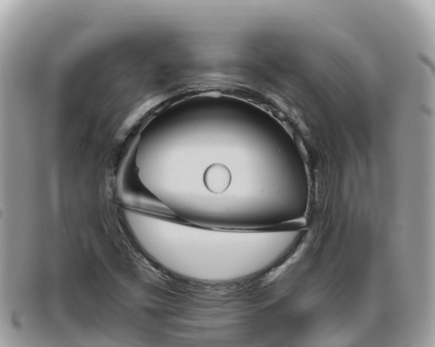 X0000095921453200801181407