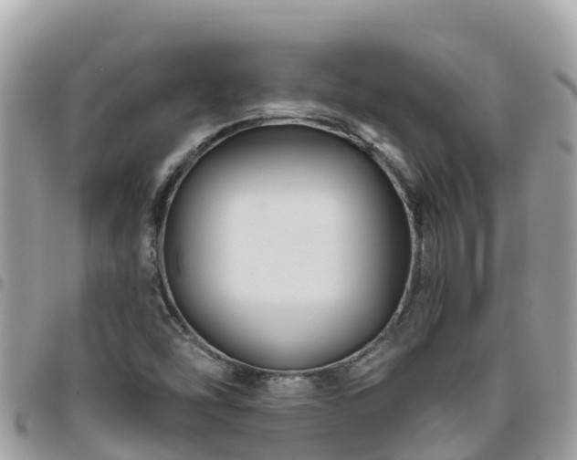 X0000095921454200801181407