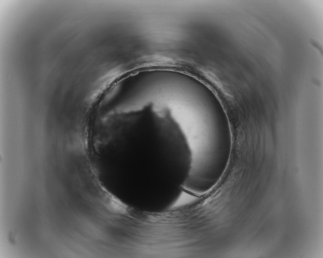 X0000095921455200801181407