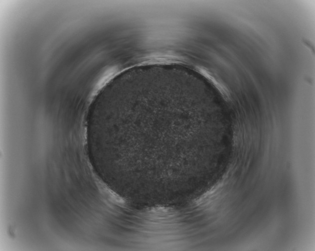 X0000095921459200801181407