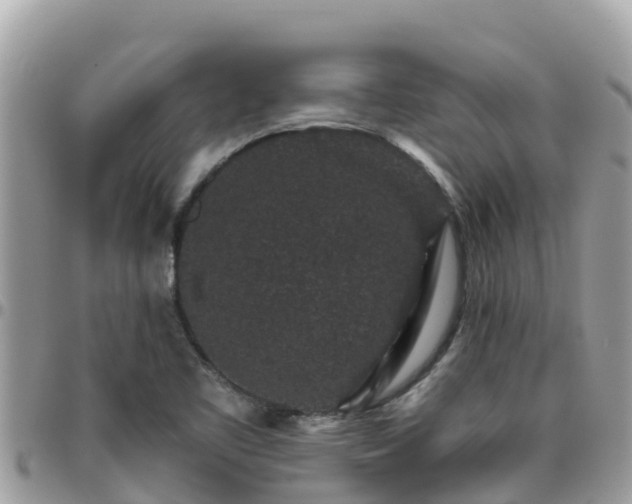 X0000095921461200801181407