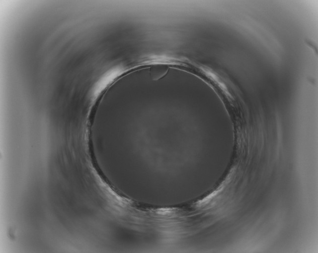 X0000095921463200801181407