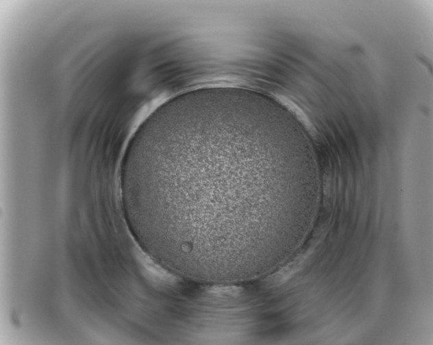 X0000095921466200801181407