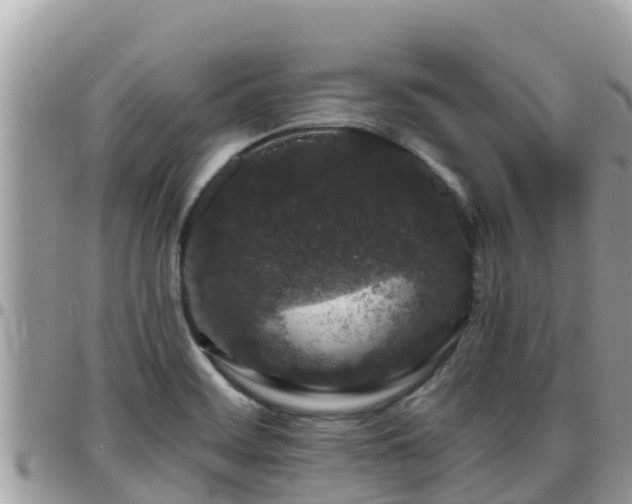 X0000095921468200801181407