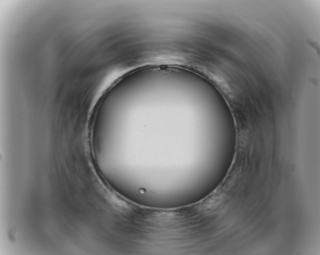 X0000095921470200801181407