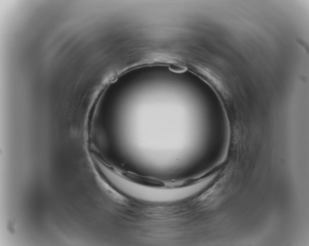 X0000095921471200801181407