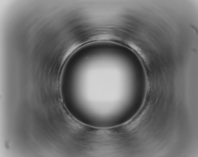 X0000095921473200801181407