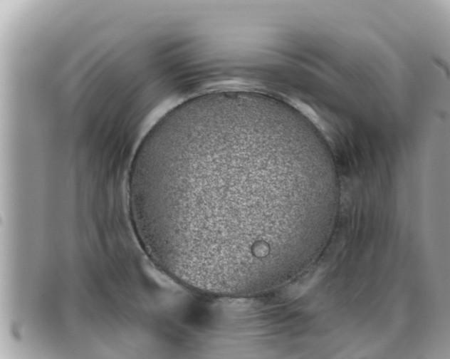 X0000095921474200801181407