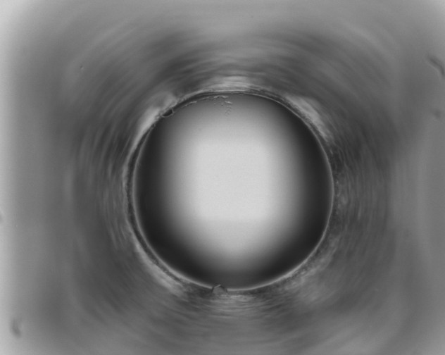 X0000095921475200801181407