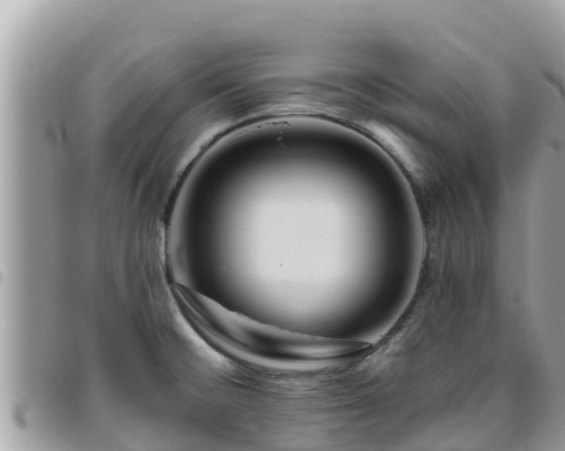 X0000095921476200801181407