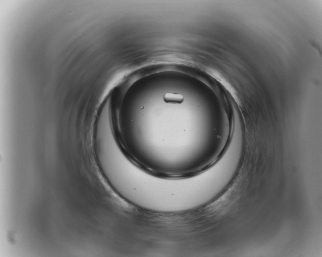 X0000095921477200801181407