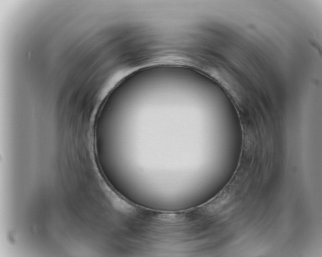 X0000095921478200801181407