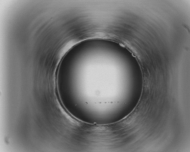 X0000095921479200801181407