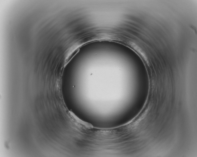 X0000095921481200801181407