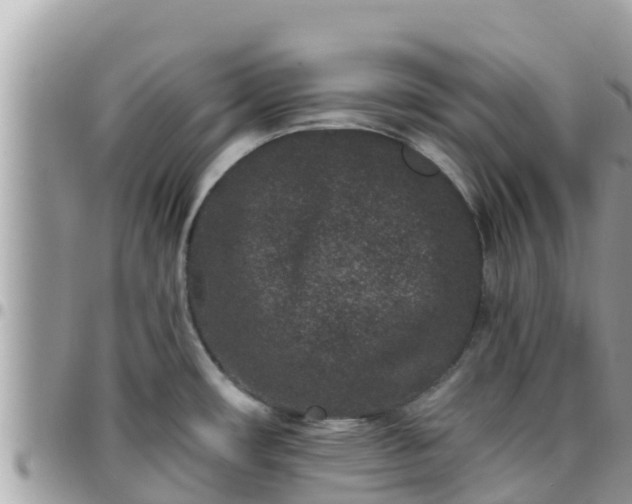 X0000095921482200801181407