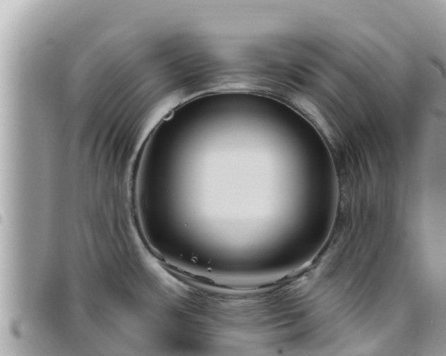 X0000095921483200801181407