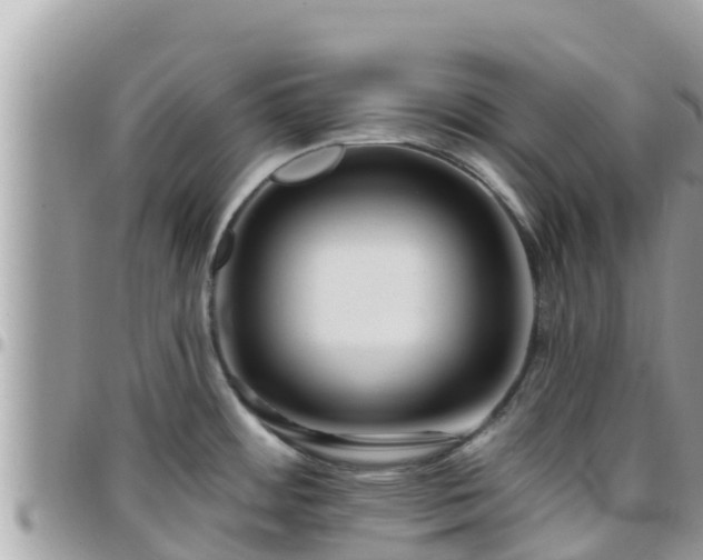 X0000095921484200801181407