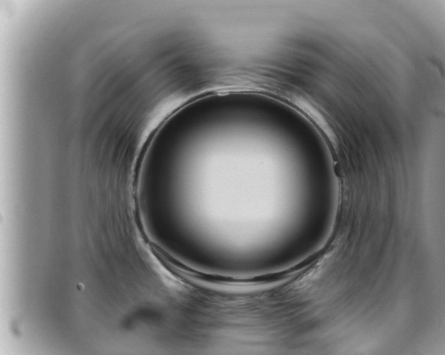 X0000095921485200801181407