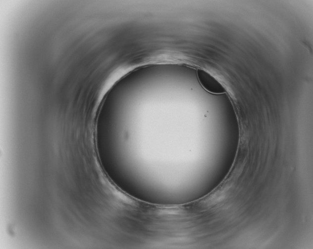 X0000095921486200801181407