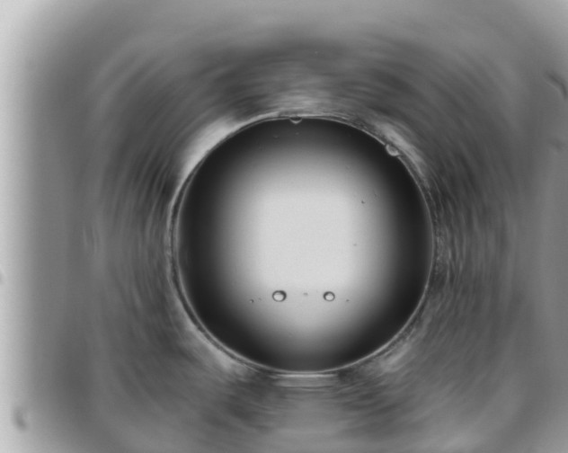 X0000095921487200801181407