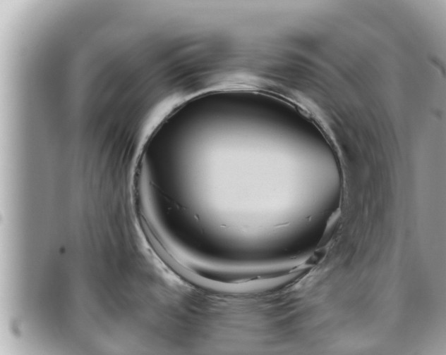 X0000095921488200801181407