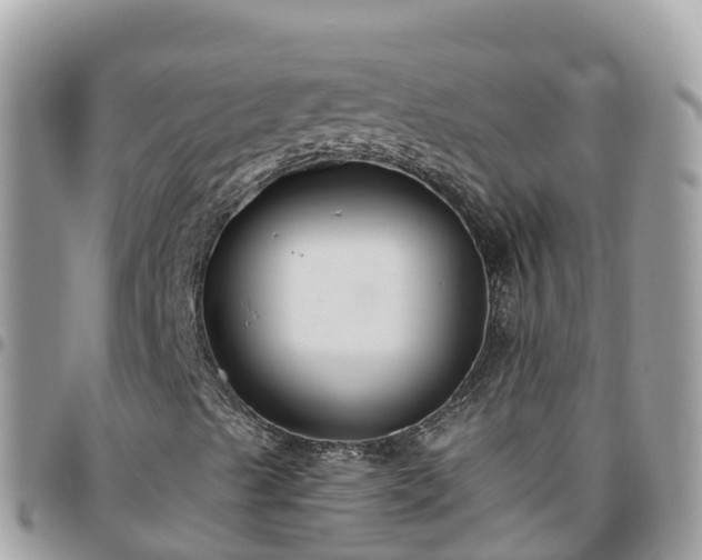 X0000095921489200801181406