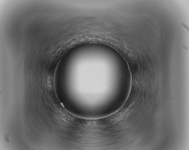 X0000095921490200801181406