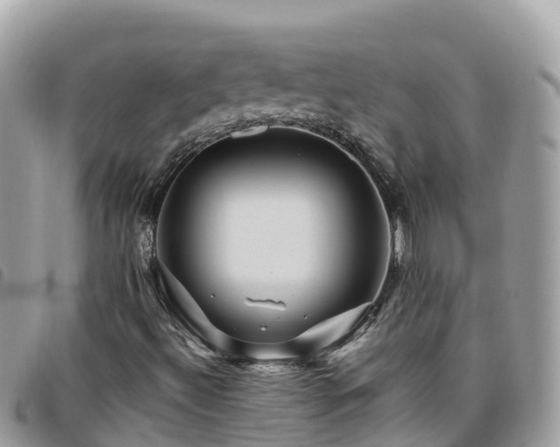 X0000095921492200801181406