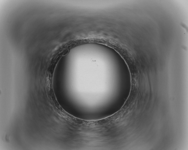 X0000095921493200801181406