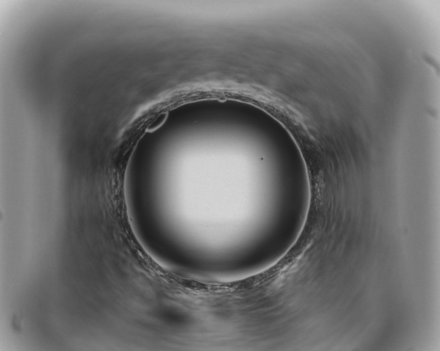 X0000095921494200801181406