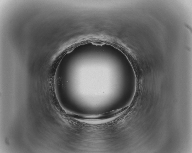 X0000095921496200801181406